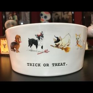 Rae Dunn Halloween trick or treat dog bowl